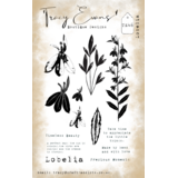 Tracy Evans Lobelia A6 Stamp (TE046)