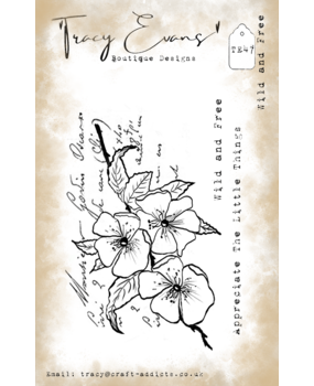 Tracy Evans Wild and Free A7 Stamp (TE047)