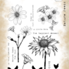 Tracy Evans Nature Feeds The Soul A5 Stamp (TE048) Tracy Evans Nature Feeds The Soul A5 Stamp (TE048)