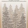 Studio Light Pine Forest Christmas Embossing Folder (SL-ES-EMB32) Studio Light Pine Forest Christmas Embossing Folder (SL-ES-EMB32)