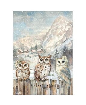 Stamperia The Owl's House A4 Rice Paper 3 Owls (6pcs) (DFSA41054)