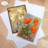 Elizabeth Craft Designs Soft Finish 8.5x11 Inch Cardstock 240gr (25pcs) (PSF144) Elizabeth Craft Designs Soft Finish 8.5x11 Inch Cardstock 240gr (25pcs) (PSF144)