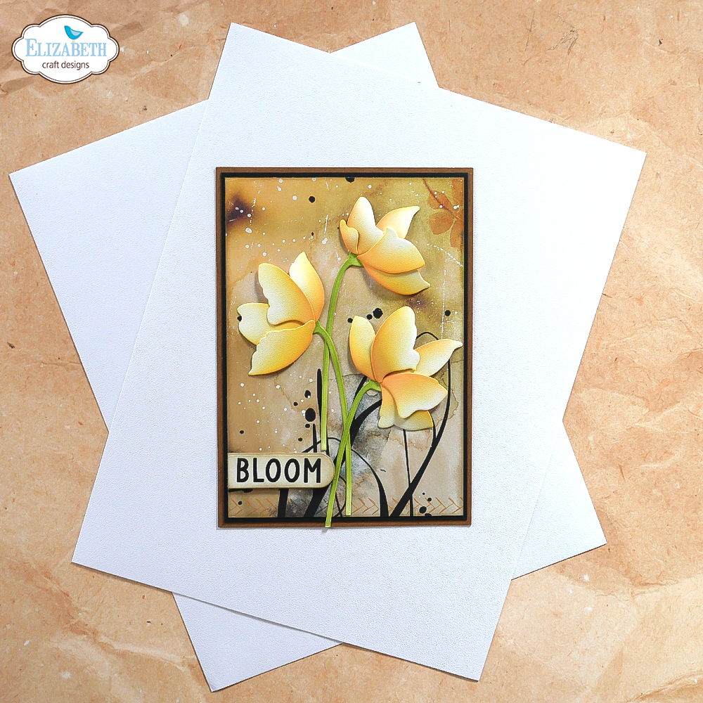 Elizabeth Craft Designs Soft Finish 8.5x11 Inch Cardstock 240gr (25pcs) (PSF144) Elizabeth Craft Designs Soft Finish 8.5x11 Inch Cardstock 240gr (25pcs) (PSF144)