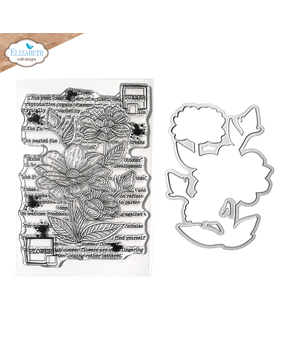 Elizabeth Craft Designs In the Garden Stamp and Die Set Summer Flower (CSD414)