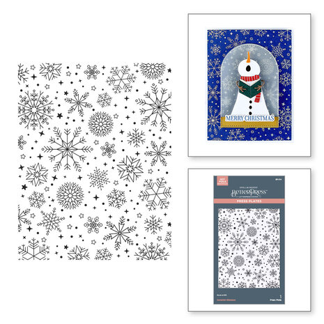 Spellbinders Wonderland BetterPress Plate Snowfall Shimmer (BP-314) Spellbinders Wonderland BetterPress Plate Snowfall Shimmer (BP-314)