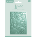 Crafter's Companion Coastal 3D Embossing Folder Seashells (CC-CO-3D-EF5-SESH)