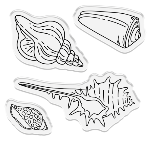 Crafter's Companion Coastal Stamp & Die Seashells on the Seashore (CC-CO-STD-SSSS)