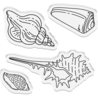 Crafter's Companion Coastal Stamp & Die Seashells on the Seashore (CC-CO-STD-SSSS) Crafter's Companion Coastal Stamp & Die Seashells on the Seashore (CC-CO-STD-SSSS)
