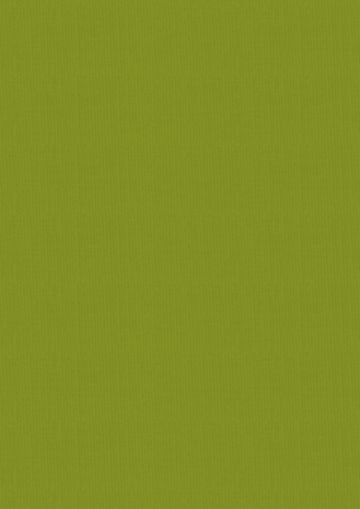 Crafter's Companion Retro Christmas A4 Luxury Linen Cardstock (CC-RC-LINEN-A4) Crafter's Companion Retro Christmas A4 Luxury Linen Cardstock (CC-RC-LINEN-A4)