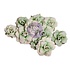 The Home Baker Flowers Mint Chip Roses (10pcs) (672744) The Home Baker Flowers Mint Chip Roses (10pcs) (672744)