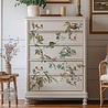 Re-Design with Prima Aviary Elegance 24x35 Inch Decor Transfers (677114) Re-Design with Prima Aviary Elegance 24x35 Inch Decor Transfers (677114)