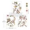 Re-Design with Prima Rosette Royale 8,5x11 Inch Middy Transfers (3pcs) (676698) Re-Design with Prima Rosette Royale 8,5x11 Inch Middy Transfers (3pcs) (676698)