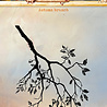 Studio Light Charming Autumn Clear Stamps Autumn Branch (SL-CA-STAMP871) Studio Light Charming Autumn Clear Stamps Autumn Branch (SL-CA-STAMP871)