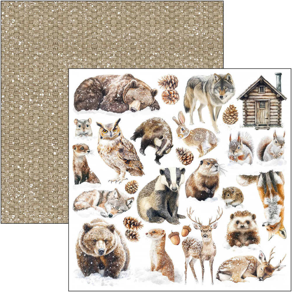 Ciao Bella Forest Tales 12x12 Inch Patterns Pad (8pcs) (CBT090) Ciao Bella Forest Tales 12x12 Inch Patterns Pad (8pcs) (CBT090)