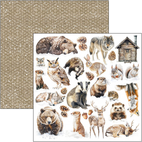 Ciao Bella Forest Tales 12x12 Inch Patterns Pad (8pcs) (CBT090) Ciao Bella Forest Tales 12x12 Inch Patterns Pad (8pcs) (CBT090)
