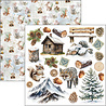 Ciao Bella Forest Tales 6x6 Inch Fussy Cut Pad (24pcs) (CBQE090) Ciao Bella Forest Tales 6x6 Inch Fussy Cut Pad (24pcs) (CBQE090)