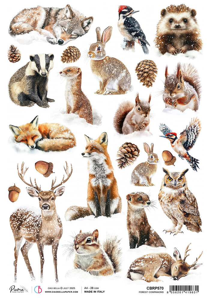 Ciao Bella Forest Tales A4 Rice Paper Forest Companions (5pcs) (CBRP570)