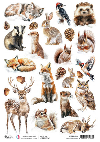 Ciao Bella Forest Tales A4 Rice Paper Forest Companions (5pcs) (CBRP570)