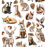 Ciao Bella Forest Tales A4 Rice Paper Forest Companions (5pcs) (CBRP570) Ciao Bella Forest Tales A4 Rice Paper Forest Companions (5pcs) (CBRP570)