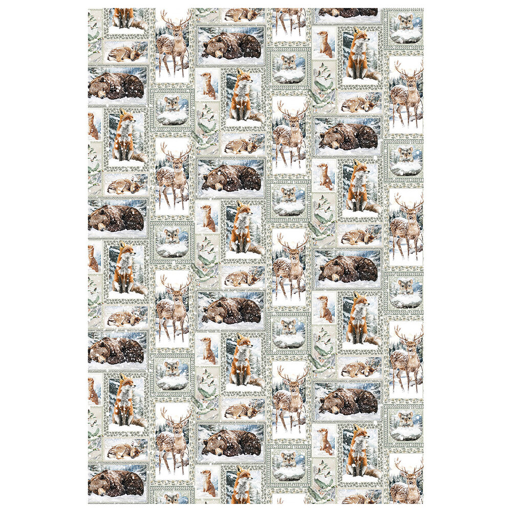 Ciao Bella Forest Tales A4 Rice Paper Mixed (4pcs) (CBRA006) Ciao Bella Forest Tales A4 Rice Paper Mixed (4pcs) (CBRA006)