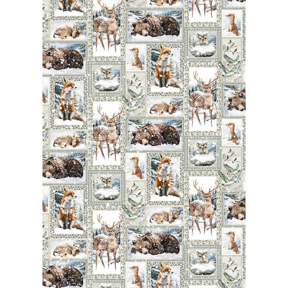 Ciao Bella Forest Tales A5 Rice Paper Mixed (8pcs) (CBRS024) Ciao Bella Forest Tales A5 Rice Paper Mixed (8pcs) (CBRS024)