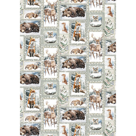 Ciao Bella Forest Tales A5 Rice Paper Mixed (8pcs) (CBRS024) Ciao Bella Forest Tales A5 Rice Paper Mixed (8pcs) (CBRS024)