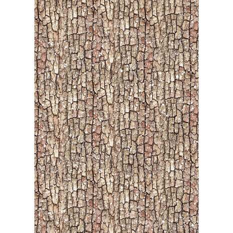 Ciao Bella Forest Tales A5 Rice Paper Mixed (8pcs) (CBRS024) Ciao Bella Forest Tales A5 Rice Paper Mixed (8pcs) (CBRS024)