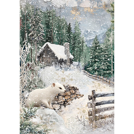 Ciao Bella Forest Tales A5 Rice Paper Mixed (8pcs) (CBRS024) Ciao Bella Forest Tales A5 Rice Paper Mixed (8pcs) (CBRS024)