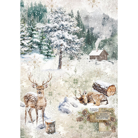 Ciao Bella Forest Tales A5 Rice Paper Mixed (8pcs) (CBRS024) Ciao Bella Forest Tales A5 Rice Paper Mixed (8pcs) (CBRS024)