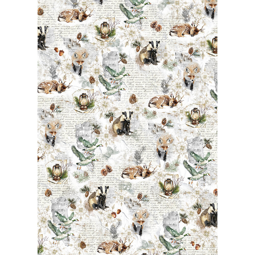 Ciao Bella Forest Tales A5 Rice Paper Mixed (8pcs) (CBRS024) Ciao Bella Forest Tales A5 Rice Paper Mixed (8pcs) (CBRS024)