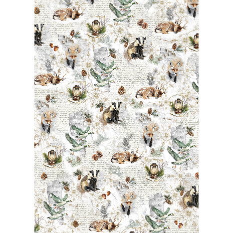 Ciao Bella Forest Tales A5 Rice Paper Mixed (8pcs) (CBRS024) Ciao Bella Forest Tales A5 Rice Paper Mixed (8pcs) (CBRS024)