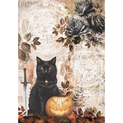 Ciao Bella Dark Academia A5 Rice Paper Mixed (8pcs) (CBRS020) Ciao Bella Dark Academia A5 Rice Paper Mixed (8pcs) (CBRS020)