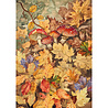 Ciao Bella Hello Fall A5 Rice Paper Mixed (8pcs) (CBRS019) Ciao Bella Hello Fall A5 Rice Paper Mixed (8pcs) (CBRS019)