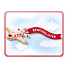 Spellbinders Candy Christmas Etched Dies Gingerbread Plane & Banners (S4-1489) Spellbinders Candy Christmas Etched Dies Gingerbread Plane & Banners (S4-1489)