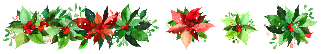 Arden Creative Studio Season of Joy Kiss-Cut PET Tape Poinsettia (5cmx5m) (ACSCT0005)