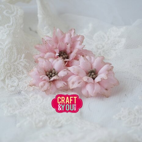 Craft & You Design Sweet Flowers by Gosia Dies (CW360) Craft & You Design Sweet Flowers by Gosia Dies (CW360)