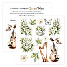 ScrapBoys Flowers Melody 6x6 Inch Paper Pad (SB-FLME-09) ScrapBoys Flowers Melody 6x6 Inch Paper Pad (SB-FLME-09)