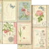 Graphic 45 Botanical Tea Keepsake Kit with Exclusive Metal Die-Set (4503101) Graphic 45 Botanical Tea Keepsake Kit with Exclusive Metal Die-Set (4503101)