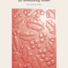 Crafter's Companion Christmas 3D Embossing Folder 5x7 Inch Flourishing Holly (CC-EF5-3D-FLHO) Crafter's Companion Christmas 3D Embossing Folder 5x7 Inch Flourishing Holly (CC-EF5-3D-FLHO)