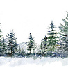 Studio Light Winter Forest Transparent Stickers on Roll (SL-ES-STIC49) Studio Light Winter Forest Transparent Stickers on Roll (SL-ES-STIC49)