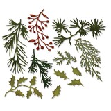 Sizzix Thinlits Die by Tim Holtz Holiday Greens Mini (11pcs) (661597) Sizzix Thinlits Die by Tim Holtz Holiday Greens Mini (11pcs) (661597)