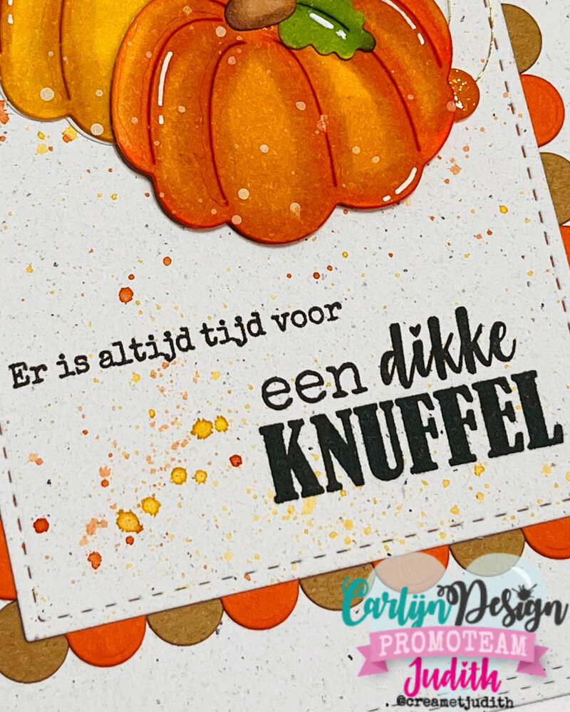 CarlijnDesign Clear Stamps Wijze Woorden 3 (CDST-0155) CarlijnDesign Clear Stamps Wijze Woorden 3 (CDST-0155)