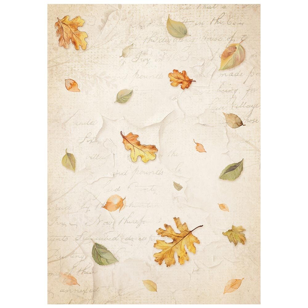Stamperia Whispering Woods A6 Rice Paper Backgrounds (8pcs) (DFSAK6045) Stamperia Whispering Woods A6 Rice Paper Backgrounds (8pcs) (DFSAK6045)