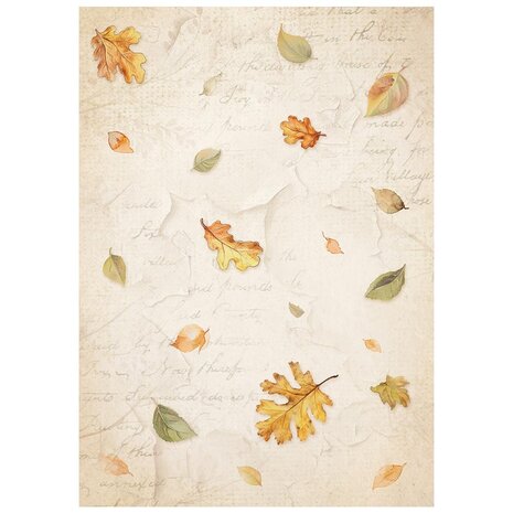 Stamperia Whispering Woods A6 Rice Paper Backgrounds (8pcs) (DFSAK6045) Stamperia Whispering Woods A6 Rice Paper Backgrounds (8pcs) (DFSAK6045)