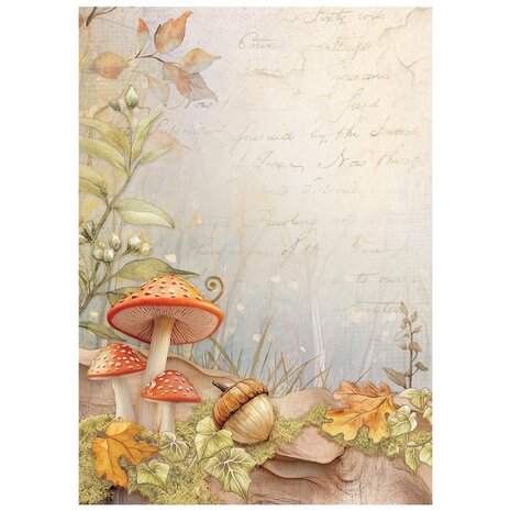 Stamperia Whispering Woods A6 Rice Paper Backgrounds (8pcs) (DFSAK6045) Stamperia Whispering Woods A6 Rice Paper Backgrounds (8pcs) (DFSAK6045)