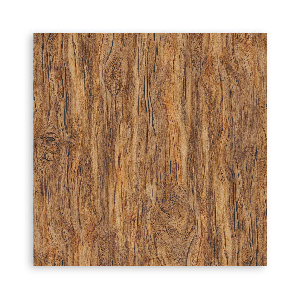 Stamperia Whispering Woods 12x12 Inch Maxi Paper Pack (Single Face) (SBBXLB29) Stamperia Whispering Woods 12x12 Inch Maxi Paper Pack (Single Face) (SBBXLB29)