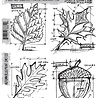 Stampers Anonymous Autumn Blueprint Tim Holtz Cling Stamps (CMS133) Stampers Anonymous Autumn Blueprint Tim Holtz Cling Stamps (CMS133)