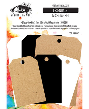 Visible Image Tomorrow's Memories Essentials Mixed Tag Set (VIS-ESS-MT)