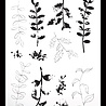 Arden Creative Studio Laurel Grove Maker Series 6x8 Inch Clear Stamp Set Sketched Branches (ACSCS0017) Arden Creative Studio Laurel Grove Maker Series 6x8 Inch Clear Stamp Set Sketched Branches (ACSCS0017)