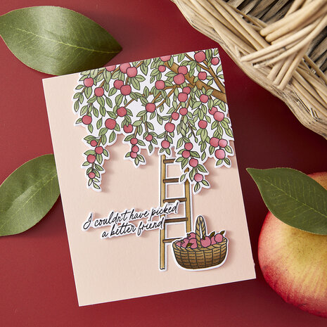 Hero Arts I Pick You Stamp & Cut In The Orchard (DC331) Hero Arts I Pick You Stamp & Cut In The Orchard (DC331)